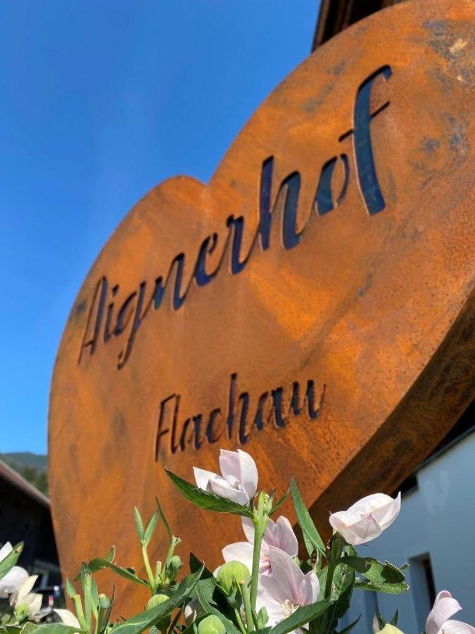 Aignerhof Lägenhet Flachau Exteriör bild