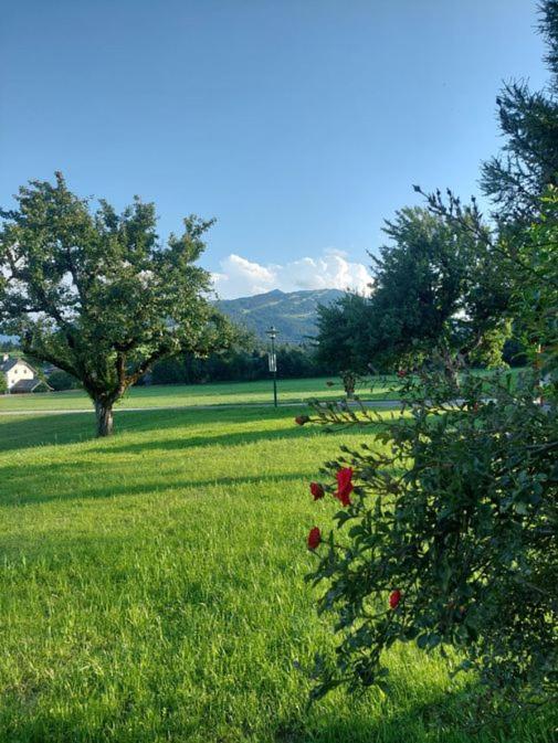 Aignerhof Lägenhet Flachau Exteriör bild
